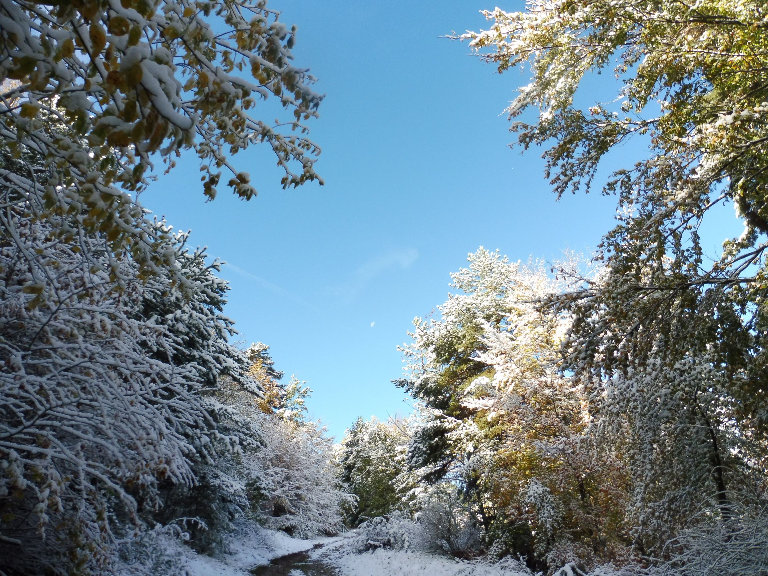 Col du Fa ou du Fam