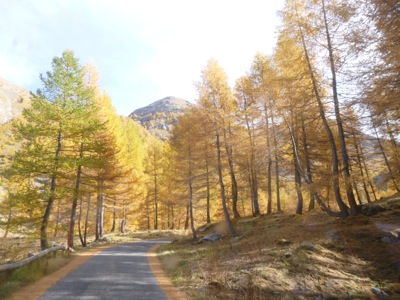 Route du Col de la Cayolle (2326 m)
