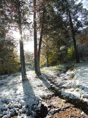 Col du Fa ou du Fam