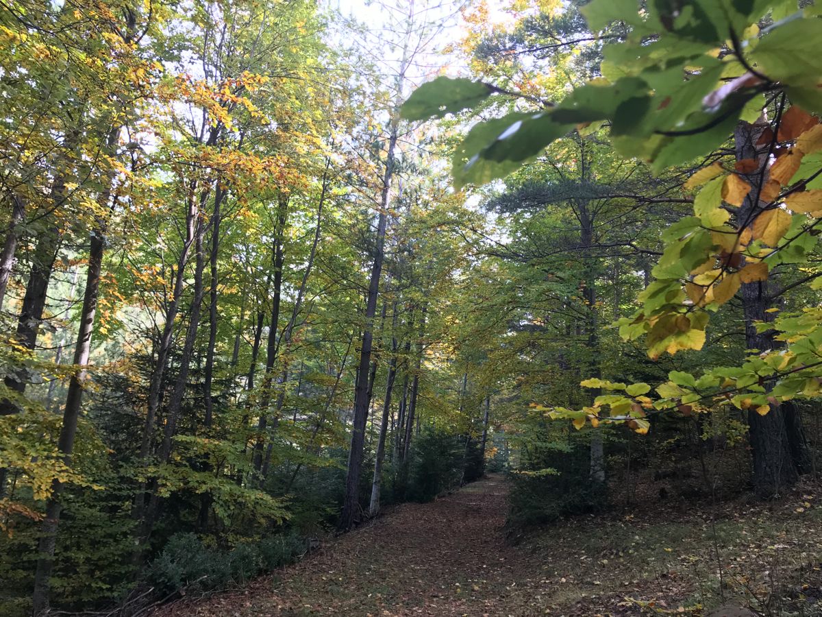 Col du Fa ou du Fam