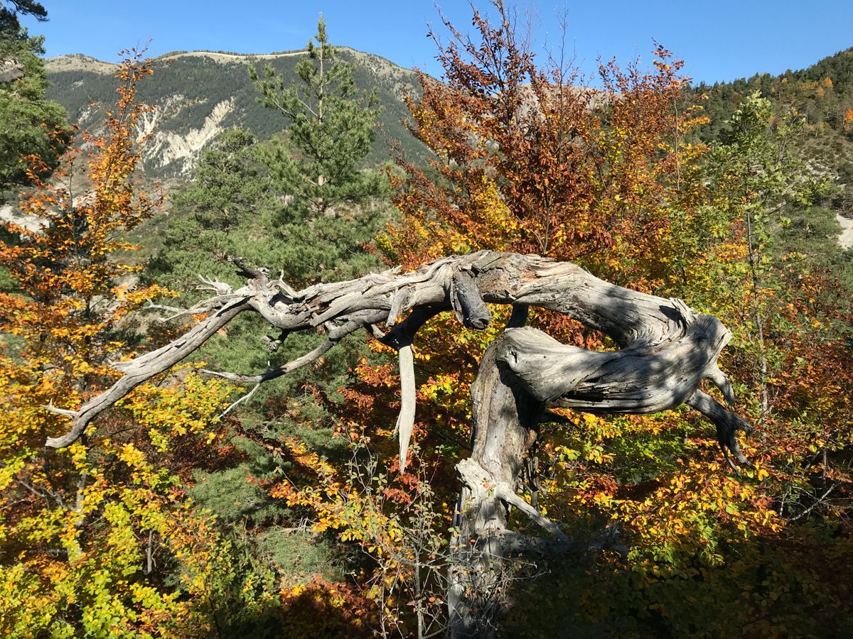 Col du Fa ou du Fam