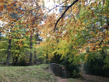 Col du Fa ou du Fam