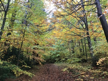 Col du Fa ou du Fam