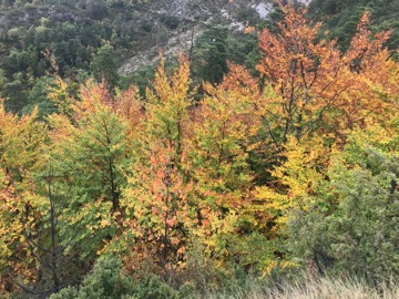 Col du Fa ou du Fam