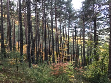Col du Fa ou du Fam