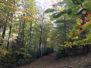Col du Fa ou du Fam