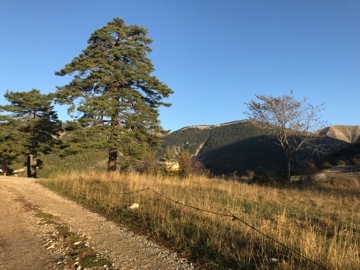 Col du Fa ou du Fam