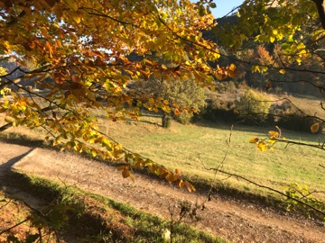 Col du Fa ou du Fam