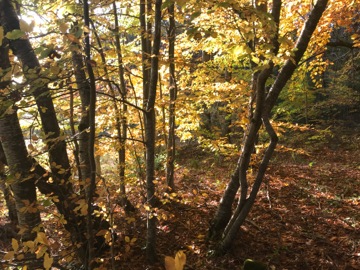 Col du Fa ou du Fam