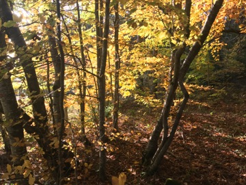 Col du Fa ou du Fam