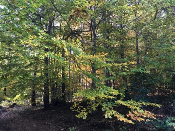 Col du Fa ou du Fam