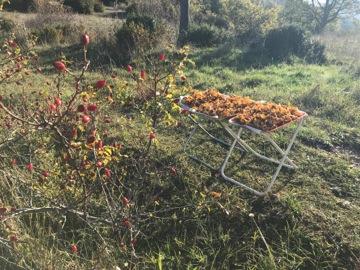 Col du Fa ou du Fam