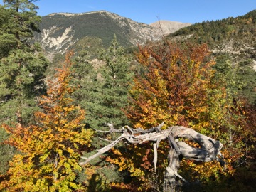 Col du Fa ou du Fam