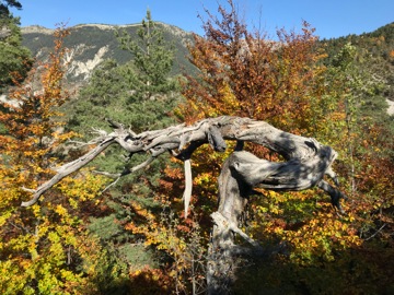 Col du Fa ou du Fam