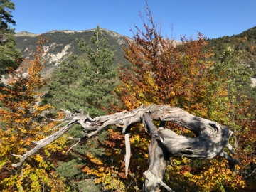 Col du Fa ou du Fam