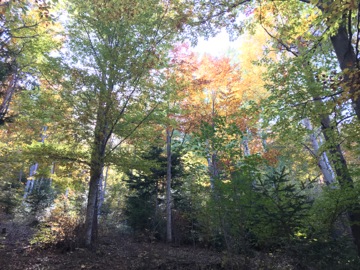 Col du Fa ou du Fam