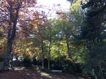 Col du Fa ou du Fam