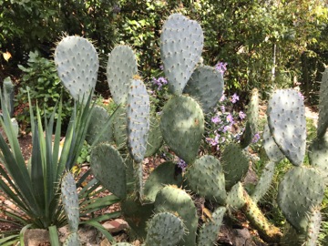 Rochemaure