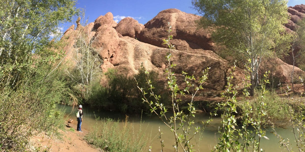 Maroc : Les Doigts de Singe