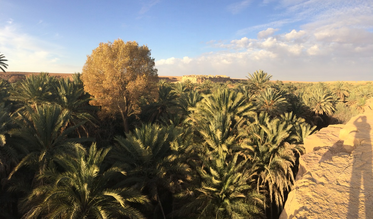 Maroc : Kasbah de Meski