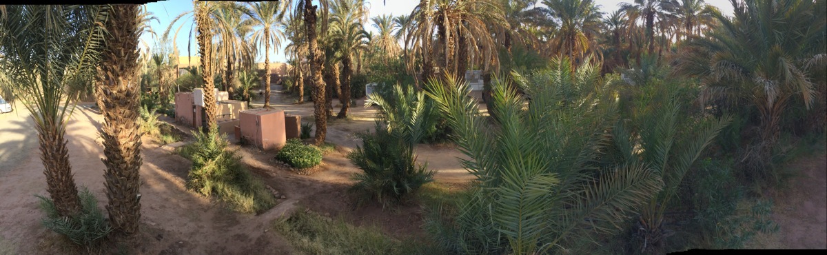 Maroc : Bivouac à Zagora
